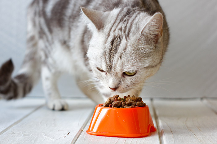 Mars Petcare announces Europe’s first recycling scheme for pet food packaging