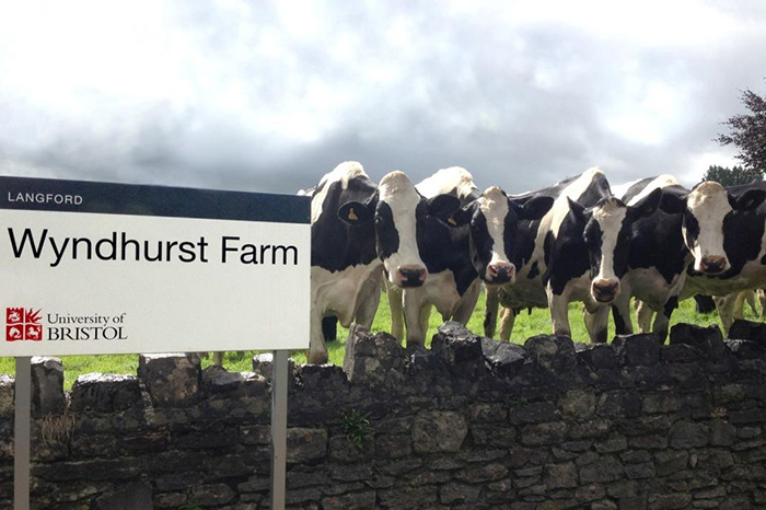 £1 million donation to establish a ‘living laboratory’ for livestock