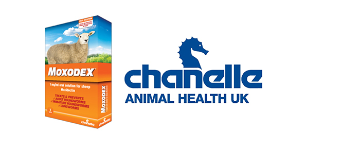 Chanelle unveils new oral solution for sheep
