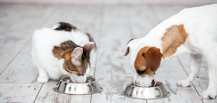 EU and Member States endorse new FEDIA Code of Good Pet Food Labelling