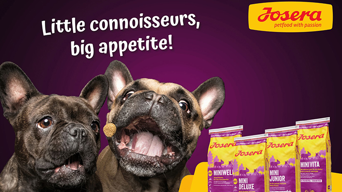 Josera launch Mini range for small dogs