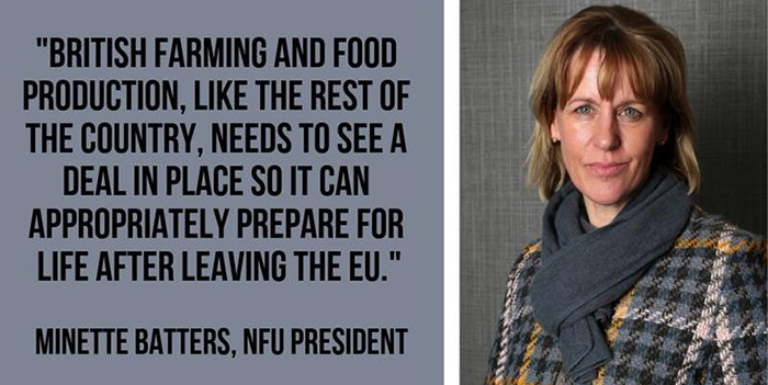 NFU president responds to Commons votes