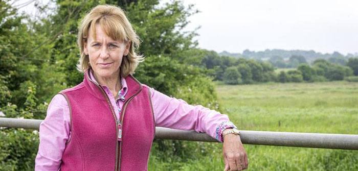 NFU repeats call that no-deal Brexit would be devastating for the UK farming industry