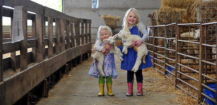 Lambing Weekend 2019 sees visitor numbers double