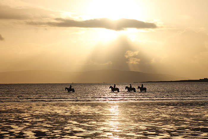 BETA launches equestrian calendar competition