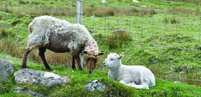 Let’s stop scab together