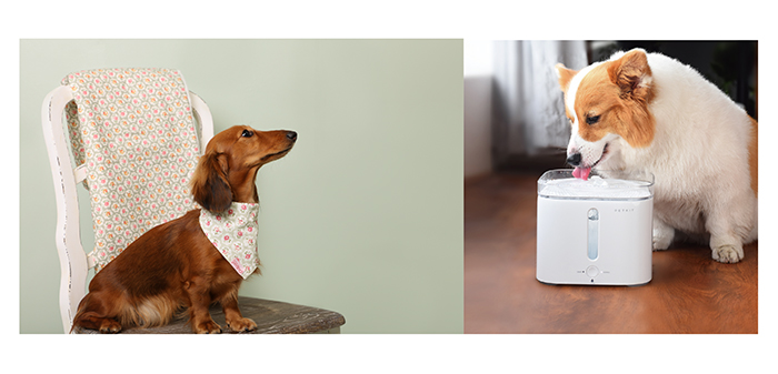 Vital Pet Group to exhibit at GLEE and PATS