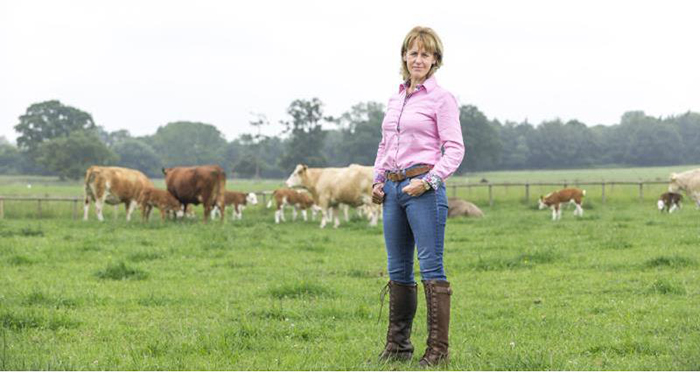 NFU calls for delay to farm support changes after Agriculture Bill falls