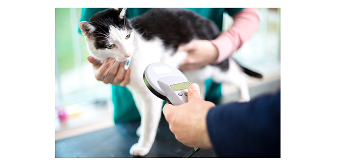 RSPCA welcomes government announcements on animal welfare legislation