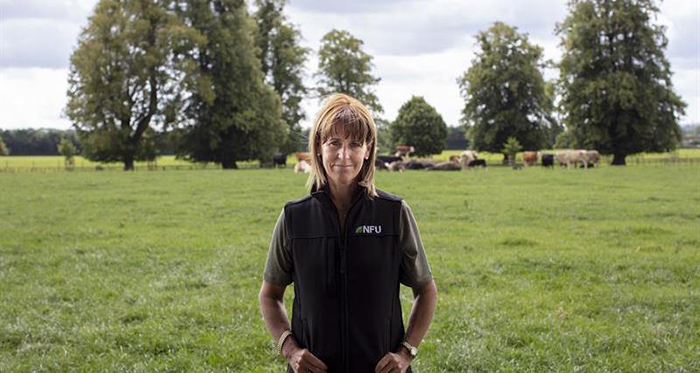 NFU issues statement on UK/EU Brexit deal