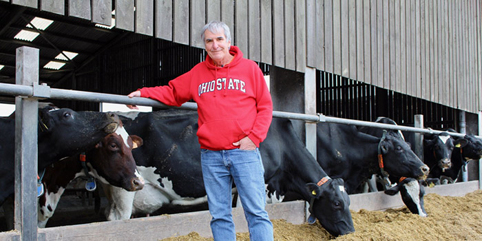 Farmers encouraged to run fresh cow groups to target protein