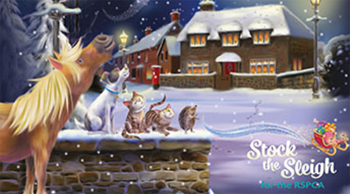 RSPCA braces itself for another busy festive season