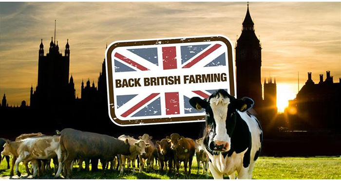 NFU to lead food standards rally in Westminster