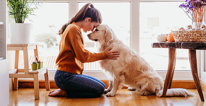 Pets are helping the nation de-stress during the lockdown