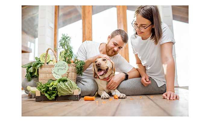 One-third of UK dog owners claims it’s good for pets to have plant-based meals