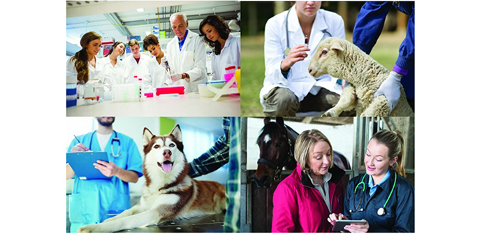 Sign up now for this year’s OvertheCounter CPD Practical Workshops