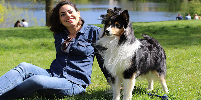 Advice on how to look after dogs during the current coronavirus crisis