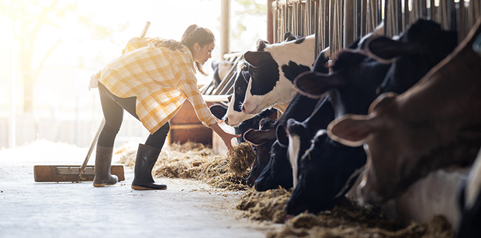 Industry representatives write open letter on the value of animal agriculture