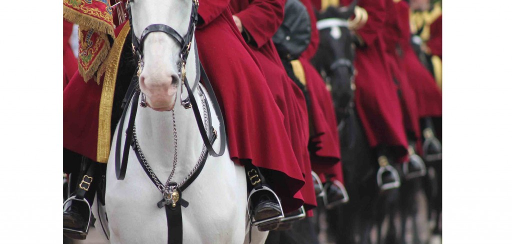 BETA launches 2021 calendar competition