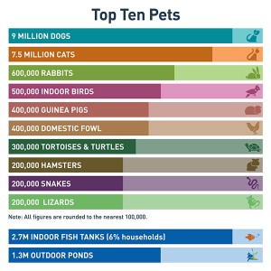 Top 10 Pets