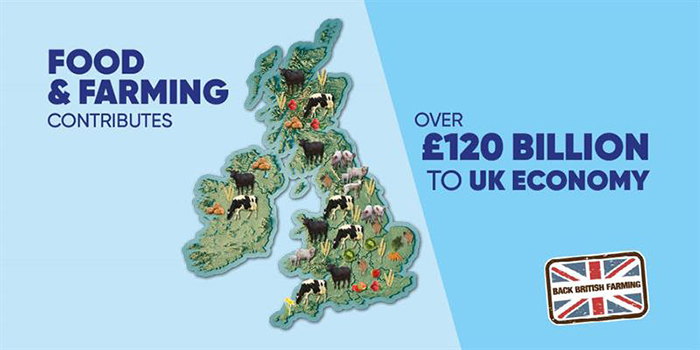 NFU calls for MPs and farmers to support Back British Farming Day 2020