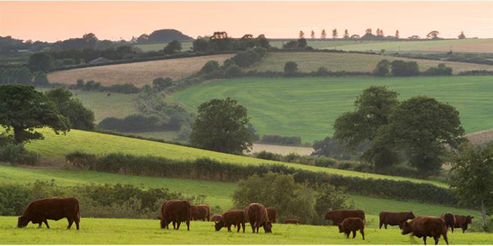 New era for British food and farming as Agriculture Act introduced