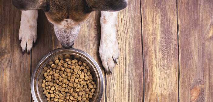 The global environmental impact of pet food production