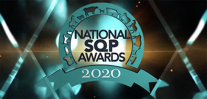 Watch the National SQP Awards 2020