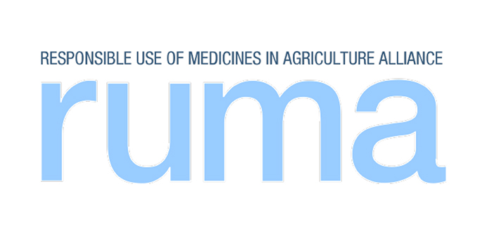 New medicine initiative for pets and horses draws on farm livestock learnings