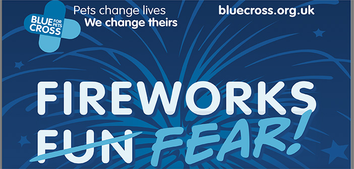 Blue Cross calls for people to ditch fireworks this NYE