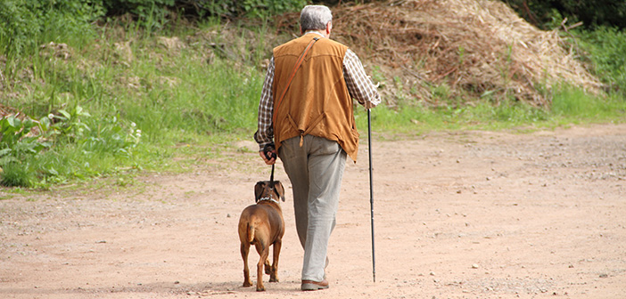 Charity warns pets will be the only companion for millions of people this Christmas