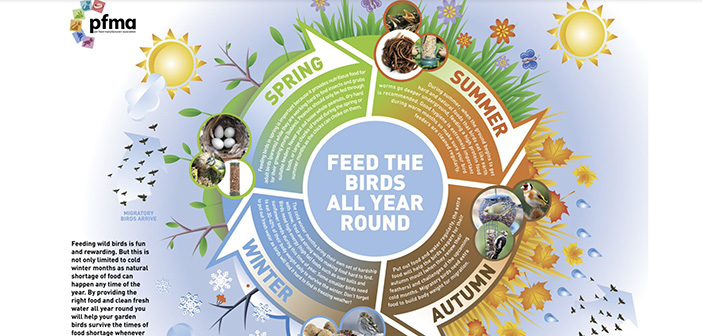 Can all wild birds eat the same foods?