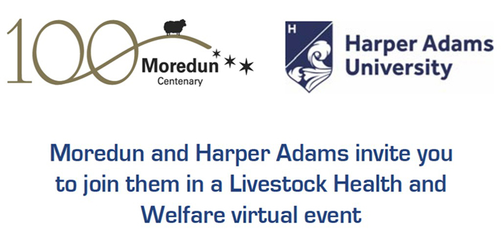 Moredun and Harper Adams to host virtual livestock health and welfare event