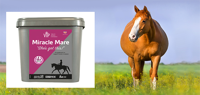 New supplement launched to support mares in season