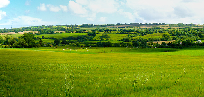 Farmers invited to take first step towards greener future