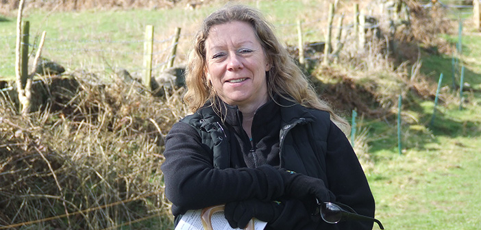 Target worm treatments to ewes in low body condition at lambing