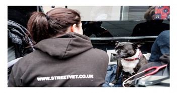 Purina PetCare to supply veterinary diets to StreetVet charity Dog on street