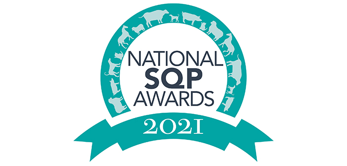 Entries are now open for the National SQP Awards 2021