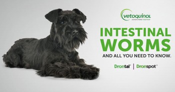 Eight CPD points available with new Vetoquinol worm module intestinal-worms-cover