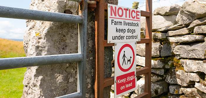 Government launches second Animal Welfare Bill