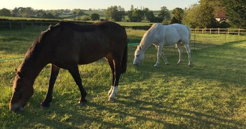 Win a solar strip grazing kit from Spillers Strip grazing