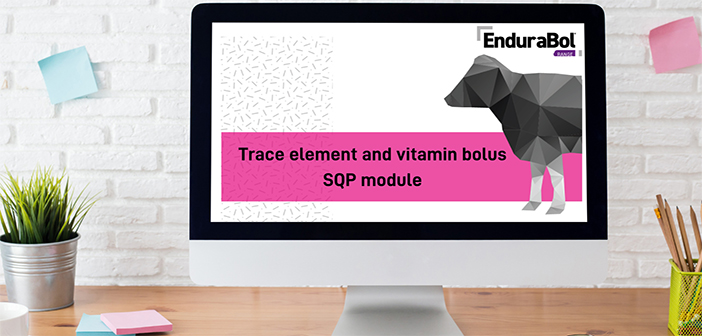 Training on offer to advance SQP knowledge on bolus use in cattle