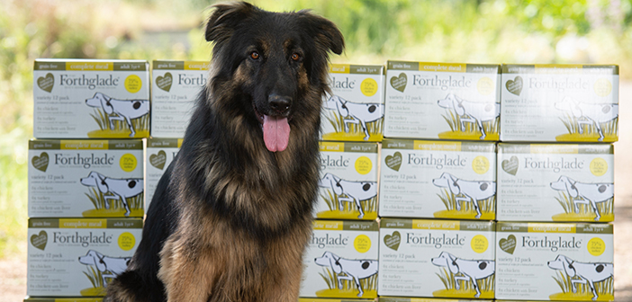 Forthglade goodies sent to 10 charities receiving food this month