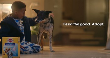 Mars Petcare kicks off ‘Adoption Mission’ with £1.3m TV campaign Mars adoption image