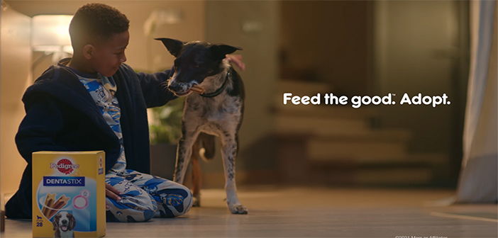 Mars Petcare kicks off ‘Adoption Mission’ with £1.3m TV campaign