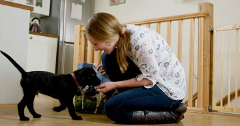 Preparing pandemic puppies for life after lockdown Owner with puppy