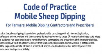 SCOPS launches Code of Practice to ensure safe and effective sheep dipping SCOPS Sheep Dip Code of Practice