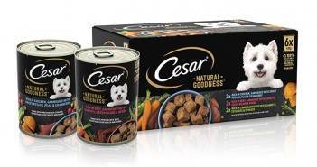 Cesar moves into multi-serve sector Cesar – range shot