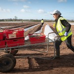 NFU calls on government for a COVID-19 Recovery Visa to address workforce shortages Farm worker