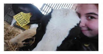 Farmers’ and vets’ views on the benefits of physiotherapy for cows underlined by student research Natalie Stanley